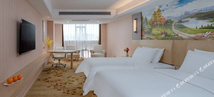 维也纳国际酒店(邵阳大汉汽车建材城店)图片