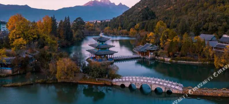 浮椿霜林客栈(丽江古城四方街店)图片