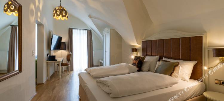 阿梅迪亚广场威尔斯酒店，温德姆Trademark精选(Amedia Plaza Wels, Trademark Collection by Wyndham)图片