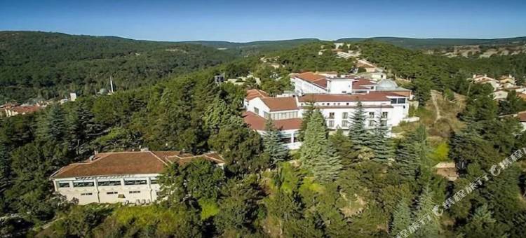 Harlek Termal Otel Wellness&Spa图片