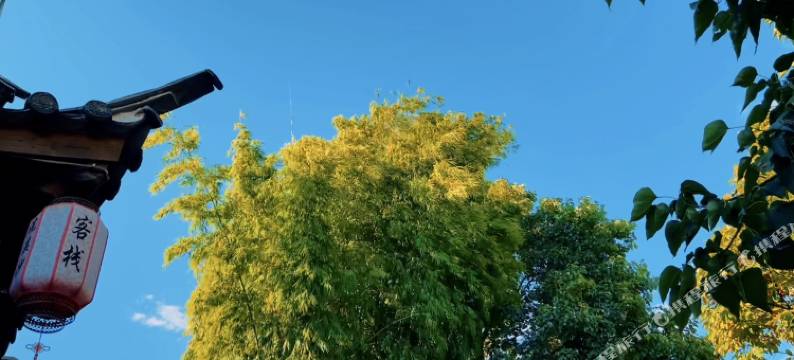 沙溪浣溪沙客栈图片