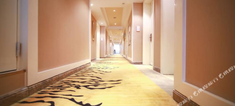 南京金太隆国际酒店(新街口总统府店)图片