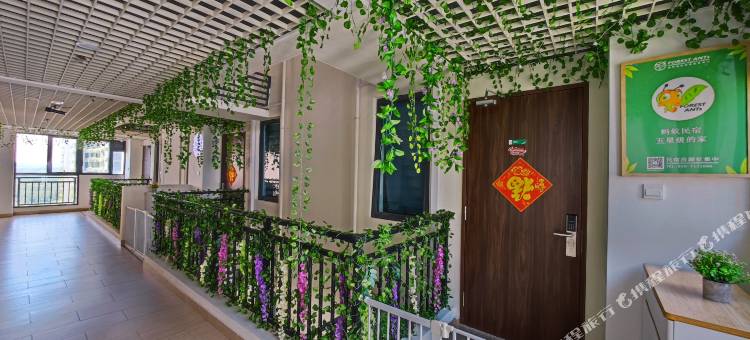 森林城市 森林蚂蚁民宿(Forest Ants Homestay in Forest City)图片