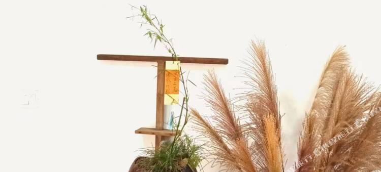 古树旁客栈图片