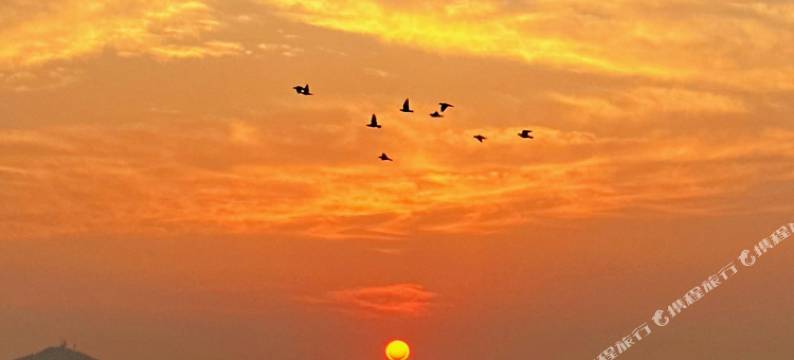 丁丁小居(青岛金沙滩店)图片