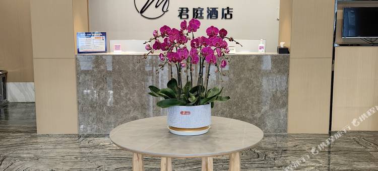 君庭酒店(高铁南站罍街店)图片