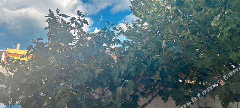 宁蒗德盛酒店图片