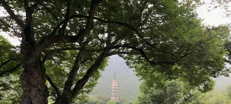 檀园酒店(济南灵岩寺店)图片