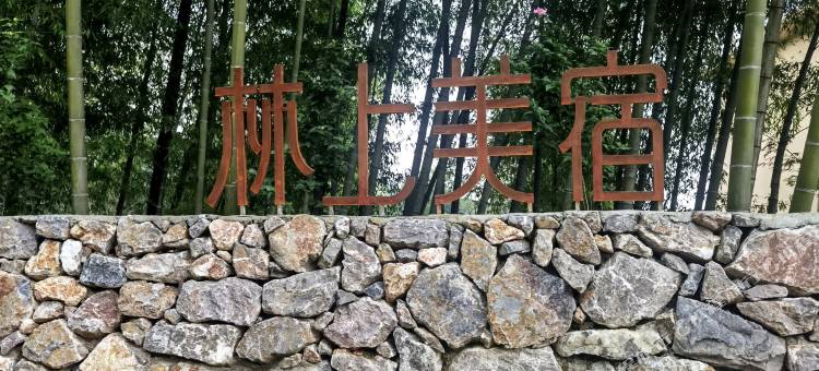 林上美宿图片