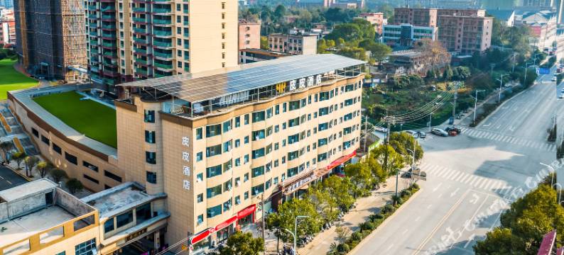 临武皮皮酒店(县政府店)图片