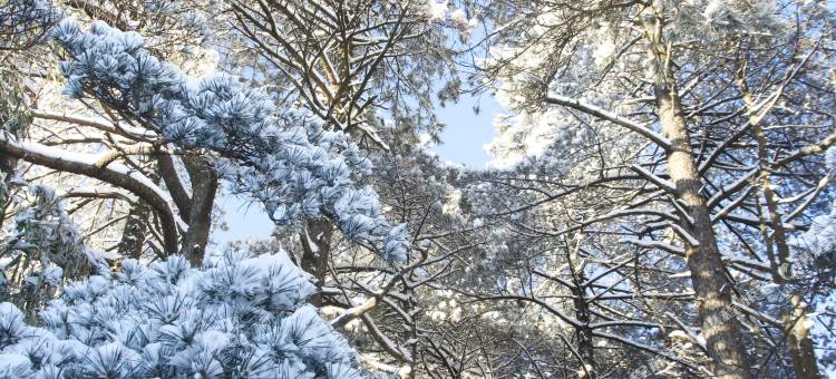 秘境·三清宫圣地酒店图片
