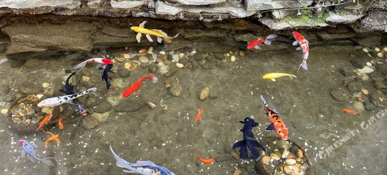 凯怡酒店(安仁古镇店)图片