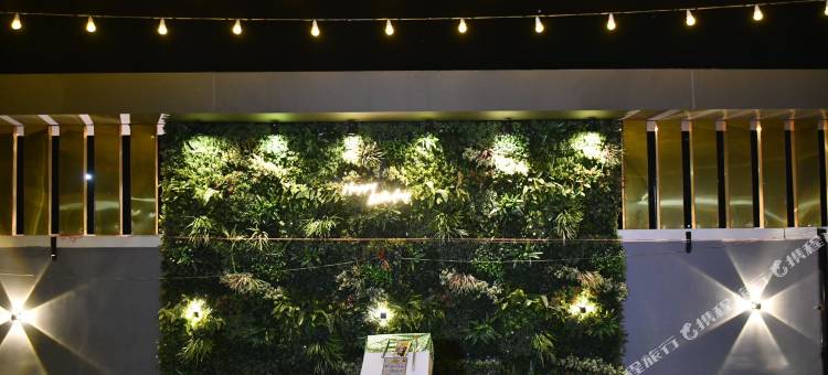 由MNG房间提供的大酒店(Hotel Majestic Grand By MNG Rooms)图片