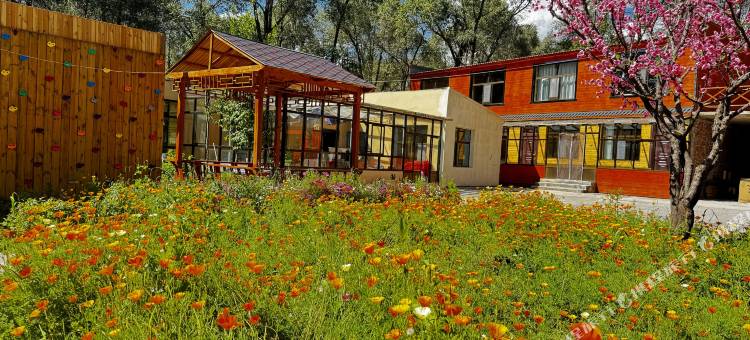 祁连老龙树人家民宿(卓尔山风景区南游客中心店)图片