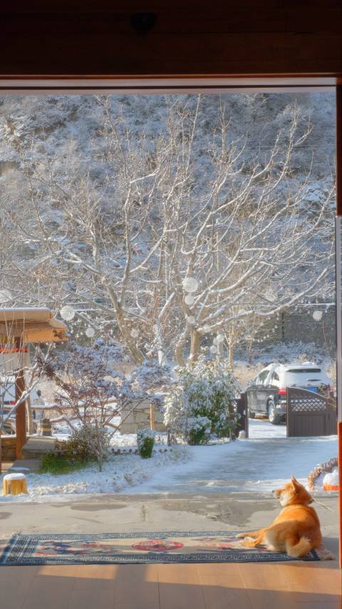 穹苍·别院 | 私汤温泉观景度假民宿(理县古尔沟店)图片