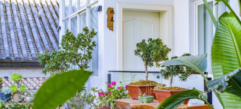 月白清望山·休闲度假Villa美宿(大理古城店)图片