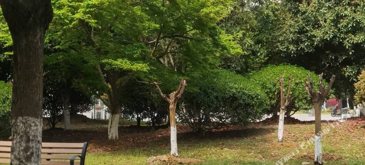 铜新招待所图片