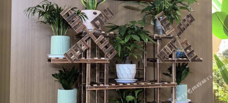 庆阳逸馨一号酒店图片