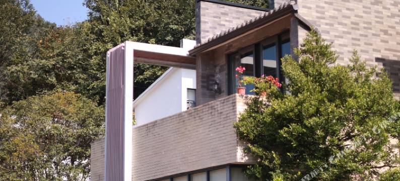 丫山旅游度假区望春山民宿图片