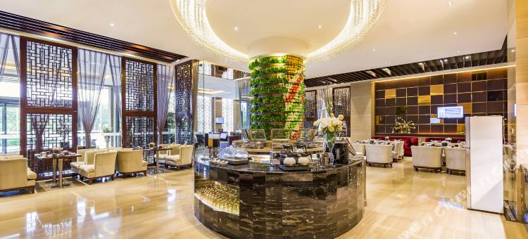 保定希悦国际商务酒店图片