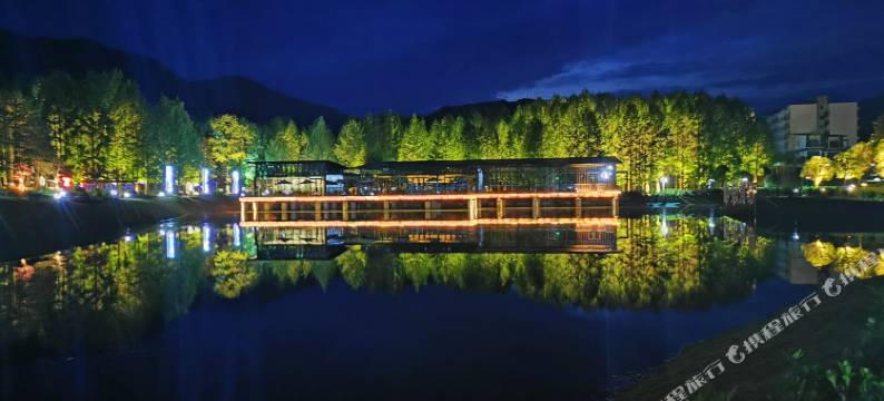 隐如度假酒店(兴山昭君原野店)图片