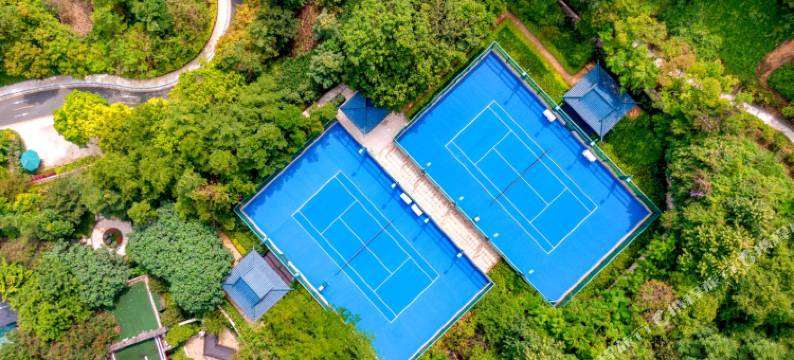 广州从都国际庄园图片