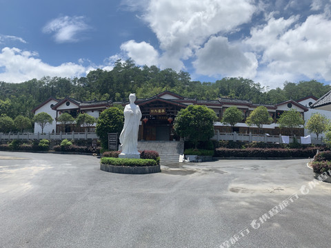 汝城九龙白茶庄园