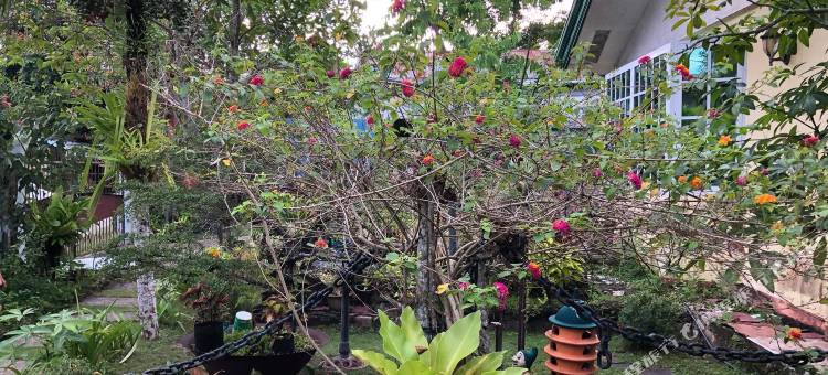 301号别墅住宿加早餐旅馆(Villa 301 B&B)图片