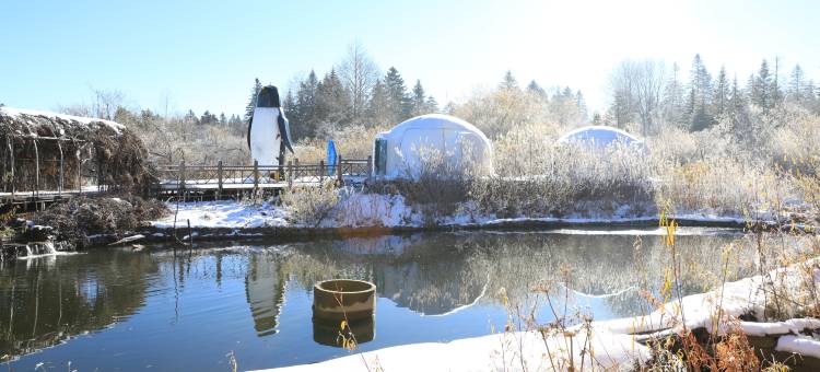 和龙老里克湖轻奢民宿图片