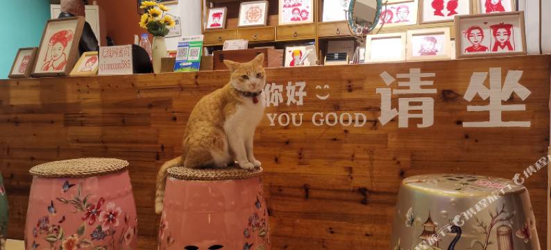 南浔千与千浔青年旅舍图片