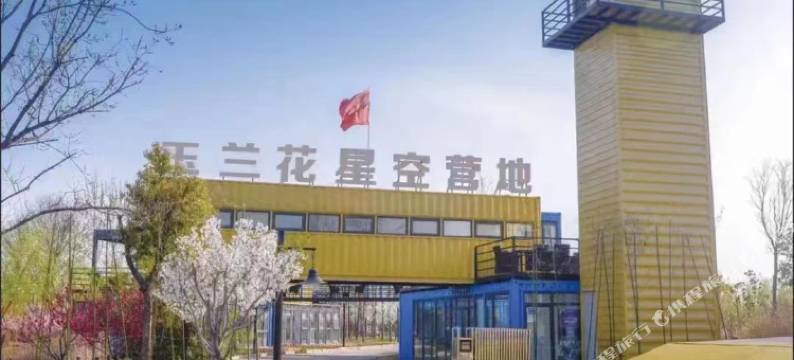 鄢陵玉兰花星空营地图片