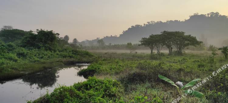 Matsya岛度假胜地(Matsya Island Retreat)图片