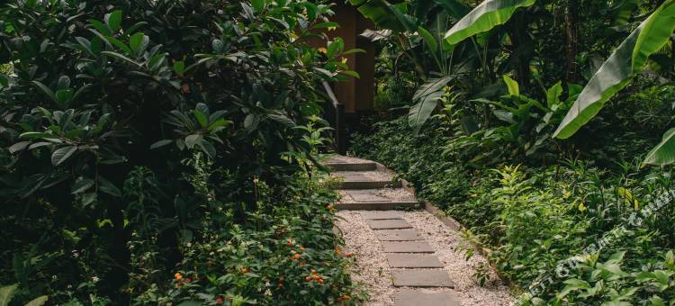 阿瓦娜度假村(Avana Retreat)图片