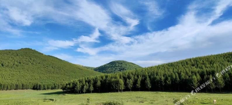 坝上高家大院生态山庄图片