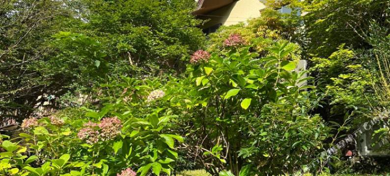A未来箱根仙石原度假村(A MIRAI HAKONE SENGOKUHARA RESORT)图片