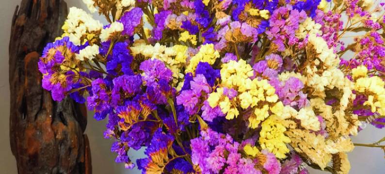 梁河石木缘温泉民宿图片