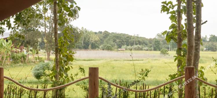 向日葵帐篷营地(Tantawan Tented camp)图片