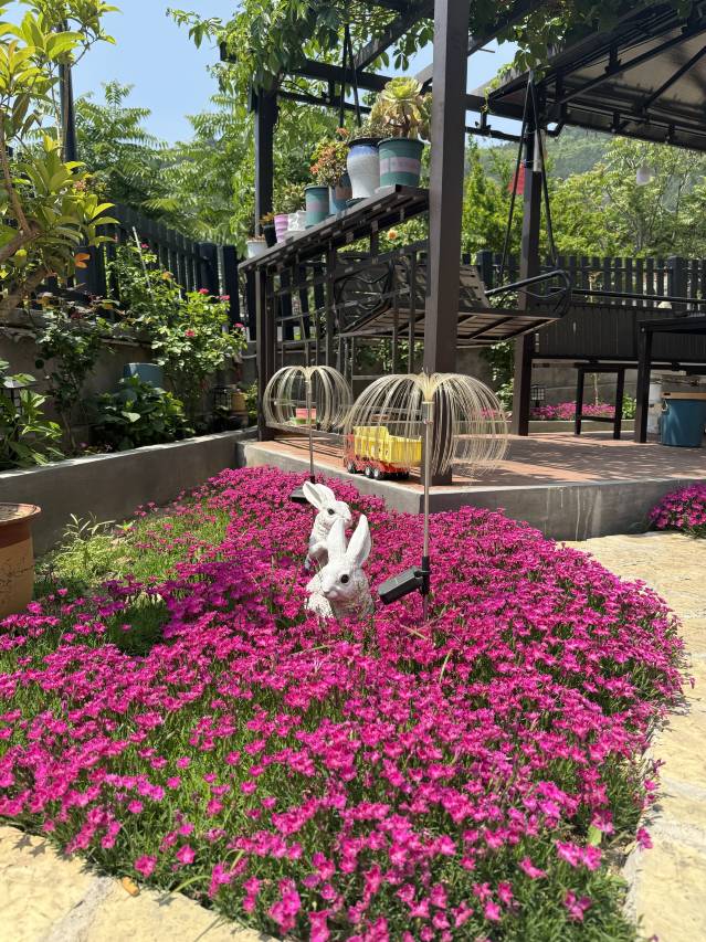 花筑·泰山橡薇民宿(红门登山口店)图片