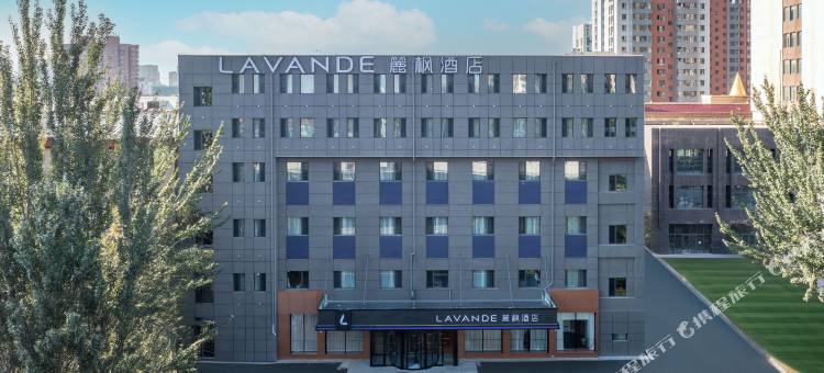 麗枫酒店(呼和浩特南二环呼伦贝尔南路店)图片