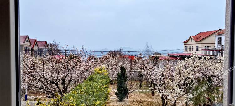 又见青石民宿(崂山风景区)图片