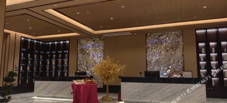 琴天酒店图片