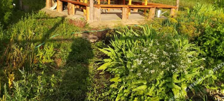 额尔古纳泰和源旅游之家民宿图片