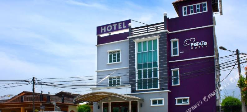 马铃薯酒店(Potato Hotel)图片