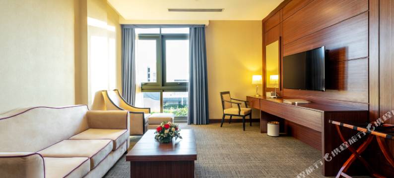 新城市贝卡麦克斯酒店(Becamex Hotel New City)图片
