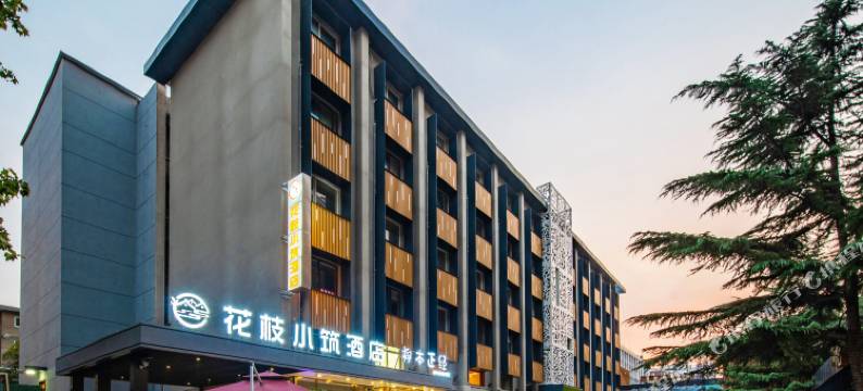 花枝小筑酒店(山东师范大学省中医东院店)图片