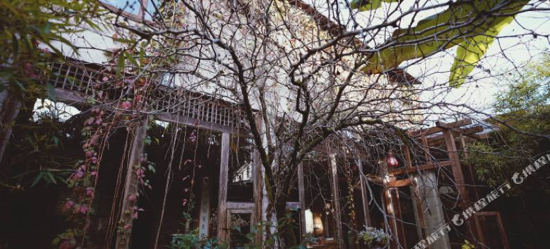 婺源七叶衍祥客栈图片