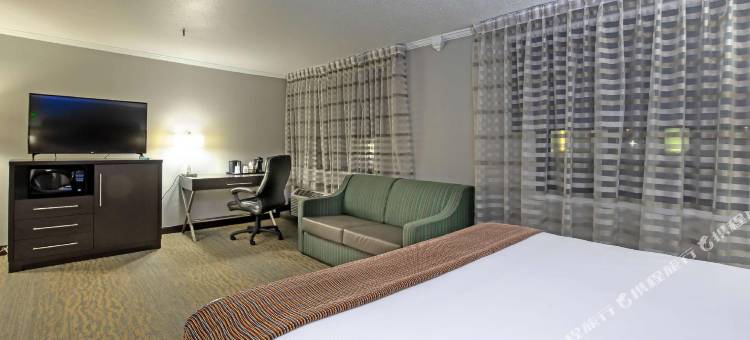 贝斯特韦斯特奥黑尔酒店(Best Western at O'Hare)图片