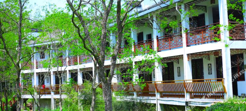 祁门天之红庄园图片