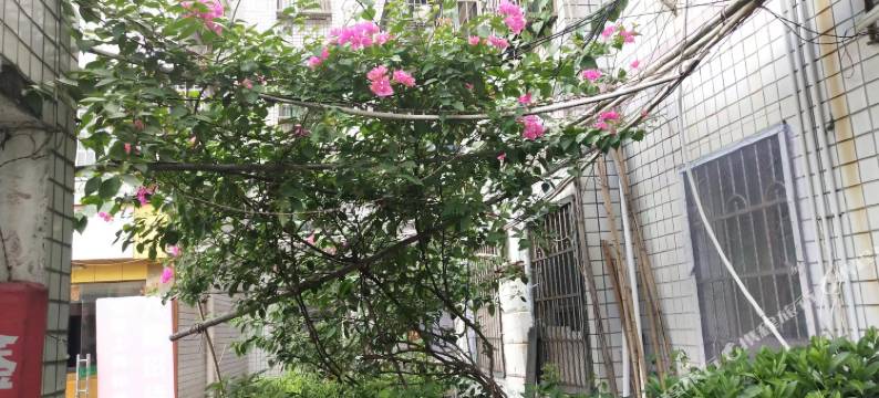 永州鑫悦招待所图片