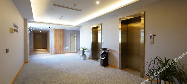 白玉兰酒店(盐城射阳万达广场双山北路店)图片